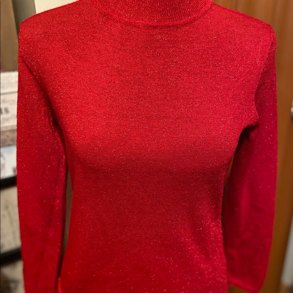 COPY - Sag Harbor PS red glittery sweater